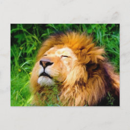 Schöne Riesen-Männchen Lion afrikanische Wildtiere Postkarte