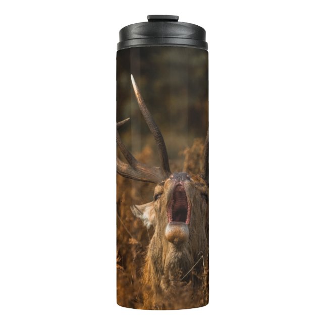 SCHÖNE RINDERTIERE THERMOSBECHER (Vorderseite)