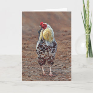 Schöne Rooster Chicken Art Note Card Karte
