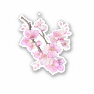 Schöne rosa Aquarell-Kirsch-Sakura-Blüten Aufkleber