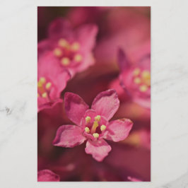 Schöne rosa Blume Briefpapier