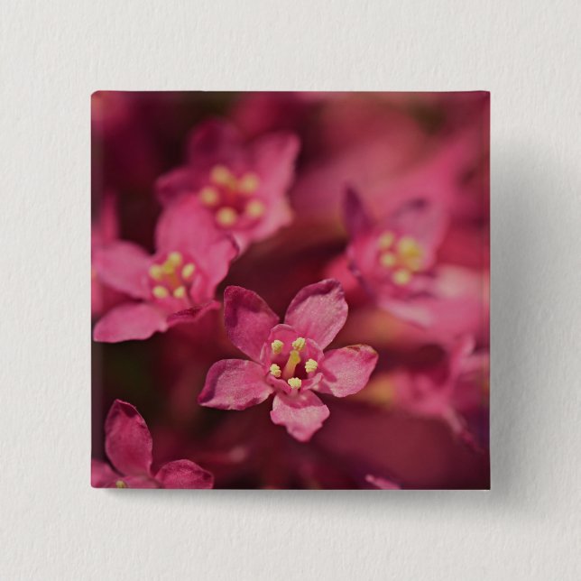 Schöne rosa Blume Button (Vorderseite)