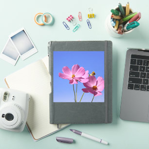 schöne rosa Blume, die einen klaren, blauen Himmel Aufkleber