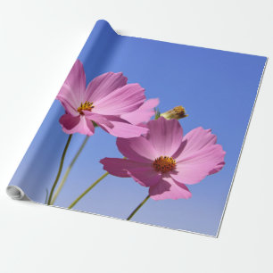 schöne rosa Blume, die einen klaren, blauen Himmel Geschenkpapier