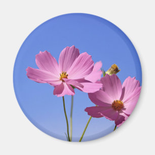 schöne rosa Blume, die einen klaren, blauen Himmel Magnet