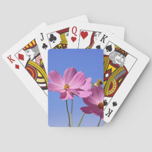schöne rosa Blume, die einen klaren, blauen Himmel Spielkarten
