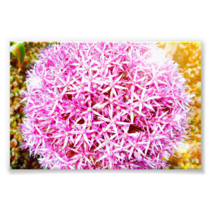 Schöne rosa Blume Fotodruck