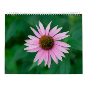 Schöne rosa Blume Kalender