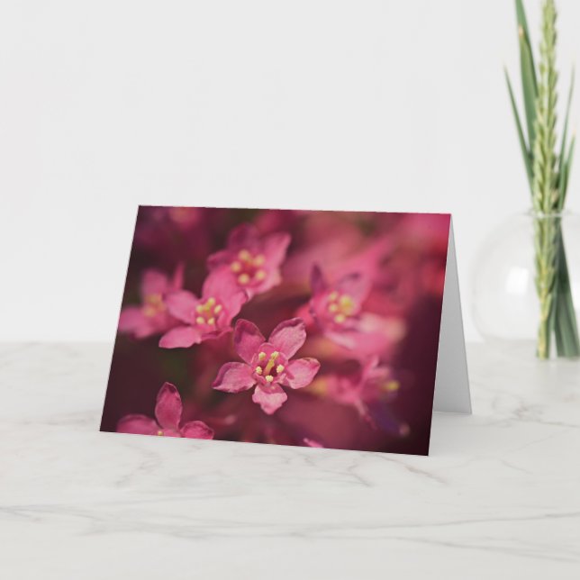 Schöne rosa Blume Karte (Vorderseite)