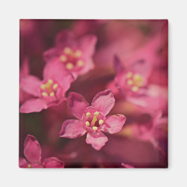 Schöne rosa Blume Magnet