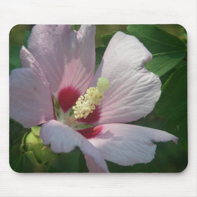 Schöne rosa Blume Mousepad (Vorne)