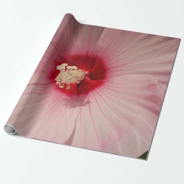 Schöne rosa Blume Nah Foto Wrapping Paper Geschenkpapier (Ungerollt)