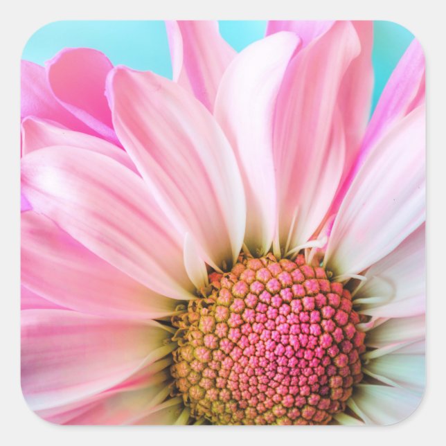 Schöne rosa Blume Nah Up Foto Quadratischer Aufkleber (Vorderseite)