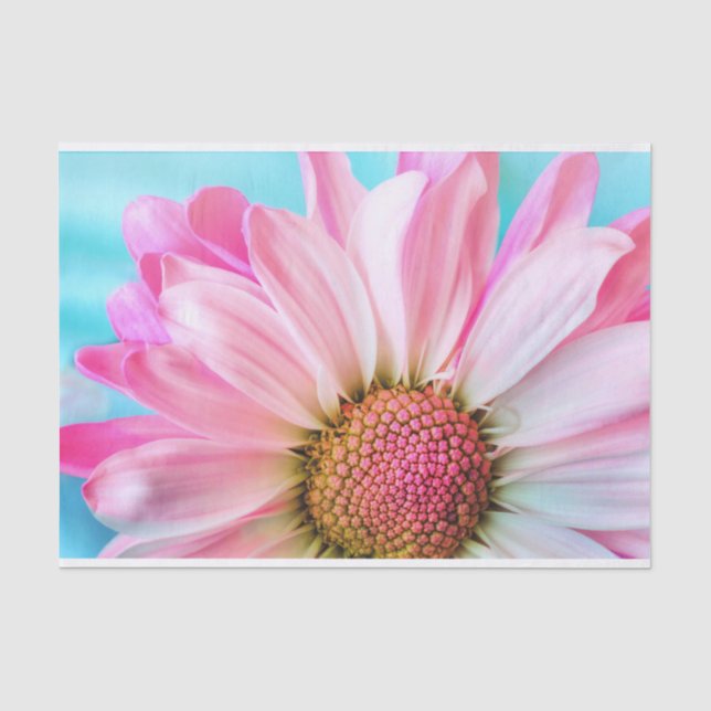 Schöne rosa Blume Nah Up Foto Seidenpapier (Vorderseite)