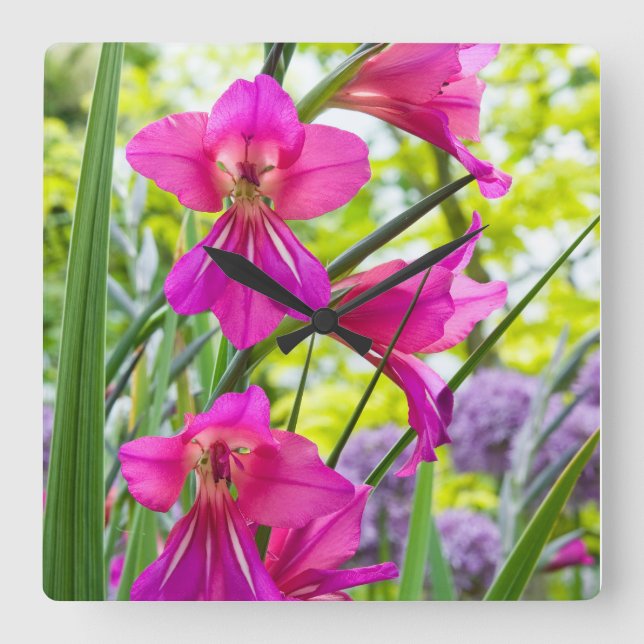 Schöne rosa Blume Quadratische Wanduhr (Vorderseite)