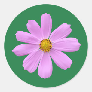Schöne rosa Blume Runder Aufkleber