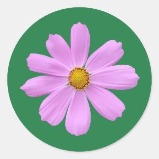 Schöne rosa Blume Runder Aufkleber