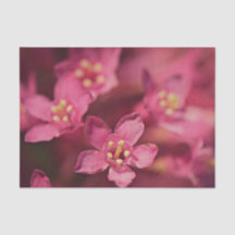Schöne rosa Blume