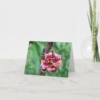 Schöne rosa Blüte am Pfirsichbaum Dankeskarte