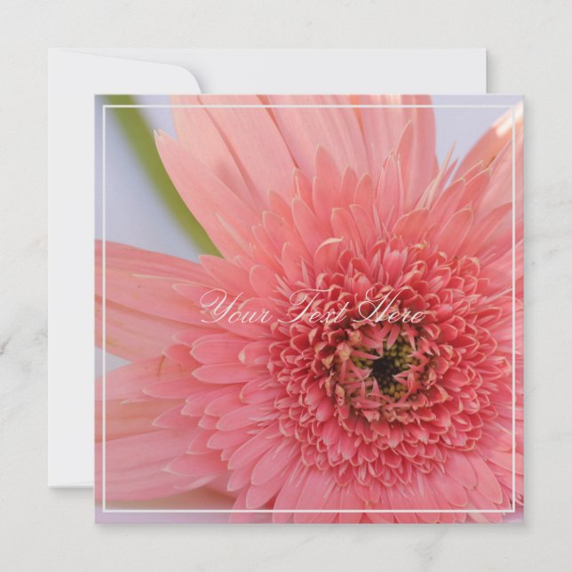 Schöne rosa Chrysanthemum Ihre Text-Flat-Karte (Vorderseite)