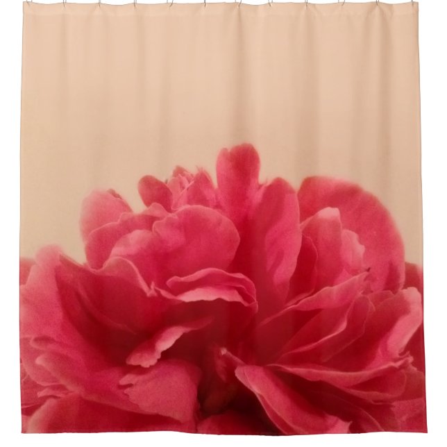 Schöne rosa Creme Duschvorhang (Vorderseite)