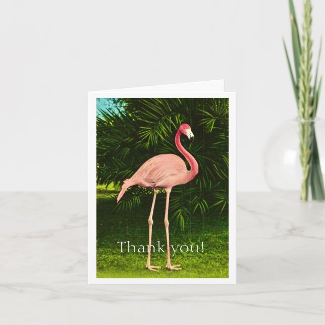 Schöne rosa Flamingo Dankeskarte (Vorderseite)