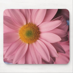 Schöne rosa Gänseblümchen-Mauspad Mousepad