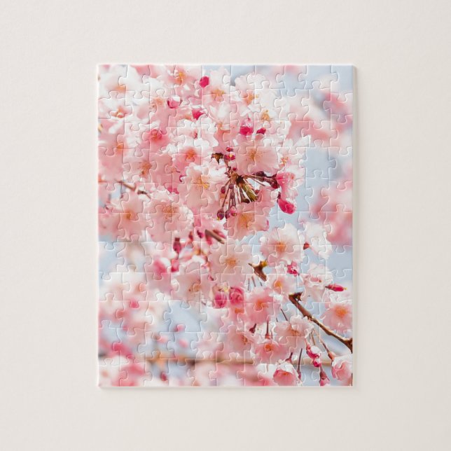 Schöne rosa japanische Kirschblüte Kirschblüte (Vertikal)