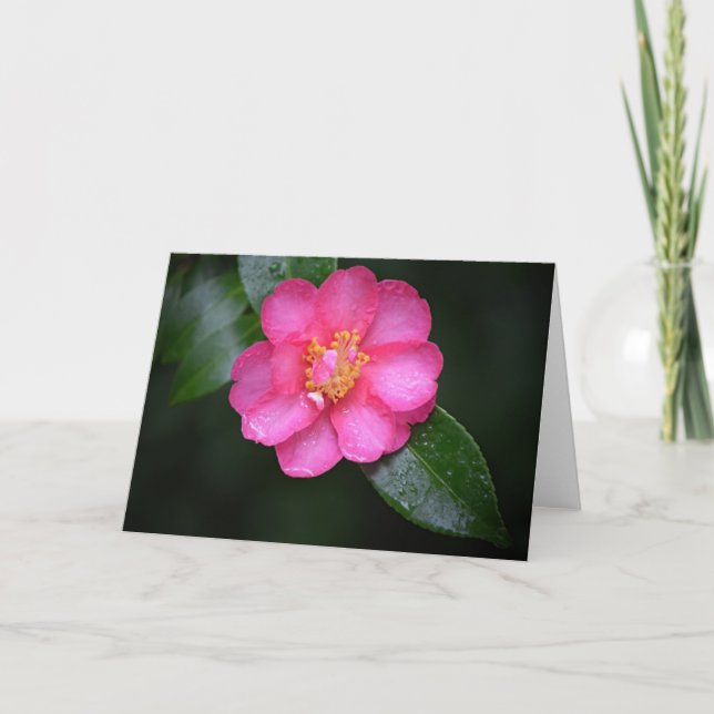 Schöne rosa Kamelien Blume nach dem Regen Karte (Vorderseite)