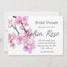 Schöne rosa Kirschblüten