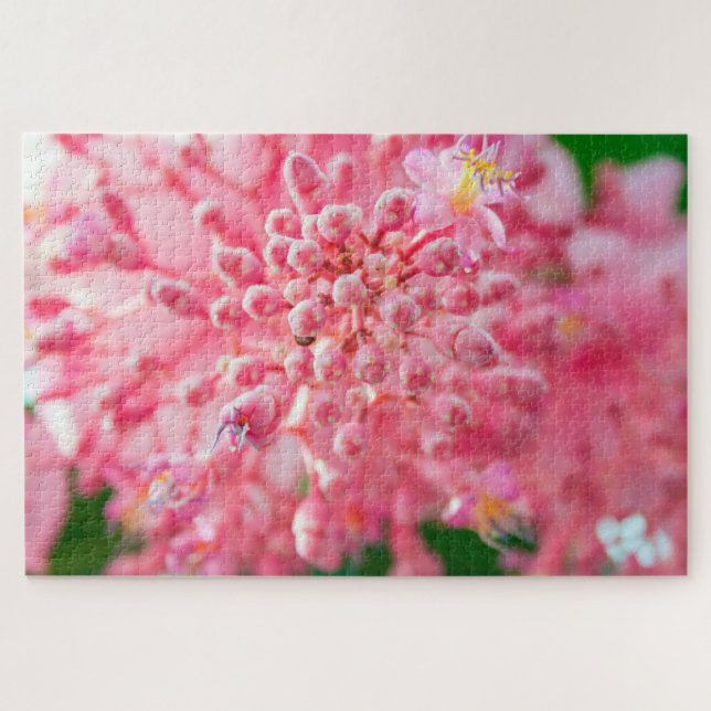 Schöne, rosa kleine Blume (Horizontal)