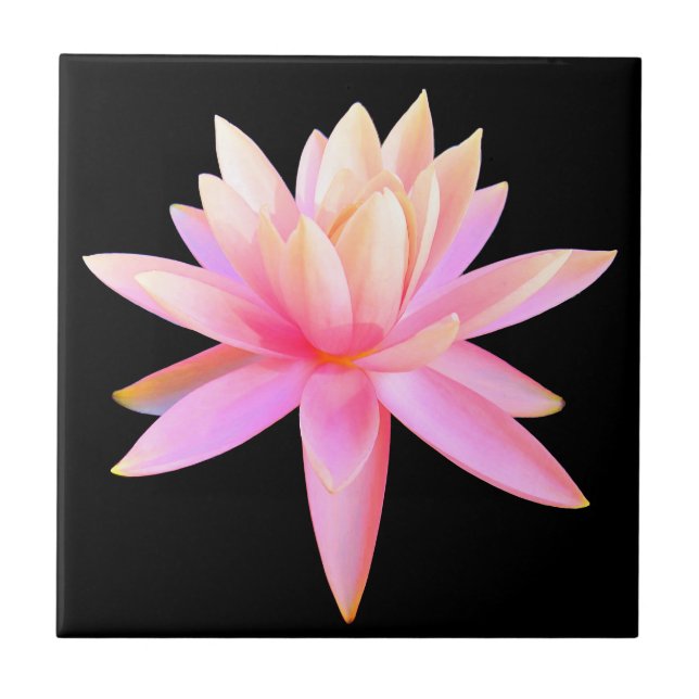 Schöne rosa Lido Lotus Fliese (Vorderseite)