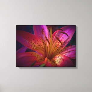 Schöne Rosa Liege Leinwanddruck