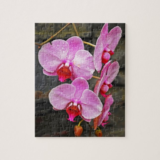 Schöne Rosa Mottenorchideen (Vertikal)
