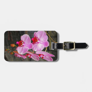 Schöne Rosa Mottenorchideen Gepäckanhänger