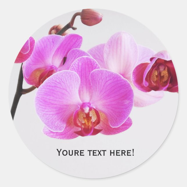 Schöne rosa Orchideen Runder Aufkleber (Vorderseite)