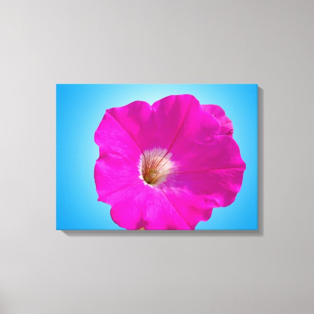 Schöne rosa Petunia Blume im blauen Hintergrund. Leinwanddruck (Vorderseite)