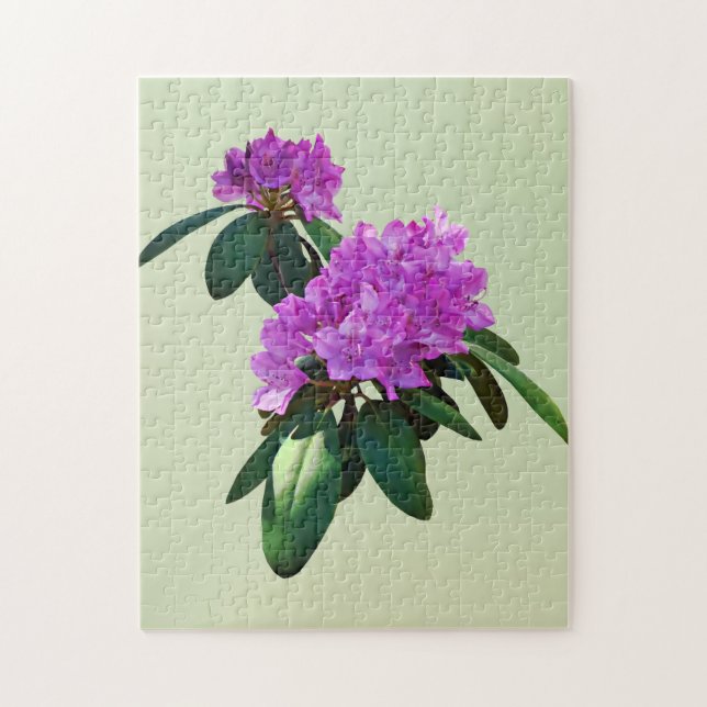 Schöne rosa Rhododendren (Vertikal)