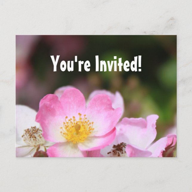 Schöne Rosa-Rosa-Blume-Graduierungsparty Einladungspostkarte (Vorderseite)