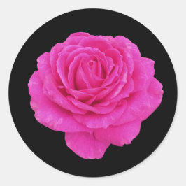 Schöne Rosa Rosa Runder Aufkleber