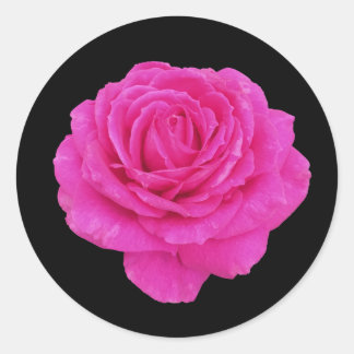 Schöne Rosa Rosa Runder Aufkleber