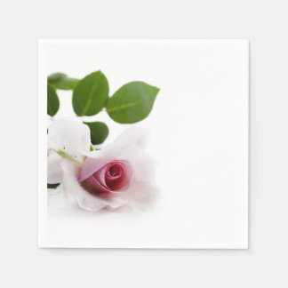 Schöne rosa Rosa über weißem Hintergrund Serviette
