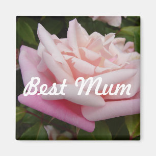 Schöne Rosa Rose Bestes Mum Blume Design Magnet