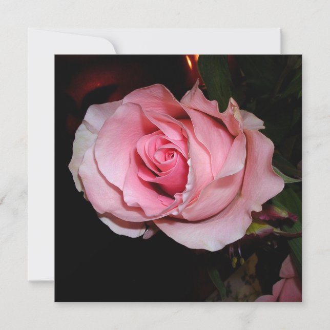 Schöne Rosa Rose Dankeskarte (Vorderseite)