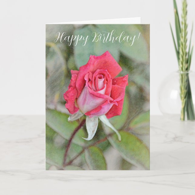 Schöne Rosa Rose Geburtstagkarte Karte (Vorderseite)