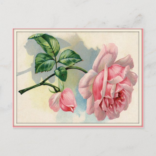 Schöne rosa Rose, graue Postkarte horizontal (Vorderseite)