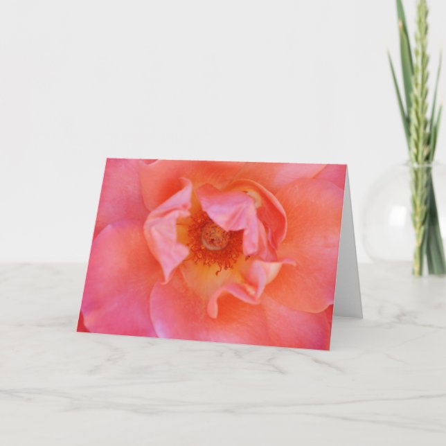 Schöne rosa Rose Kunst-Karte Karte (Vorderseite)