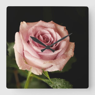 schöne Rosa Rose Quadratische Wanduhr