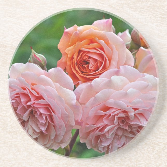 Schöne rosa Rosen Getränkeuntersetzer (Vorne)