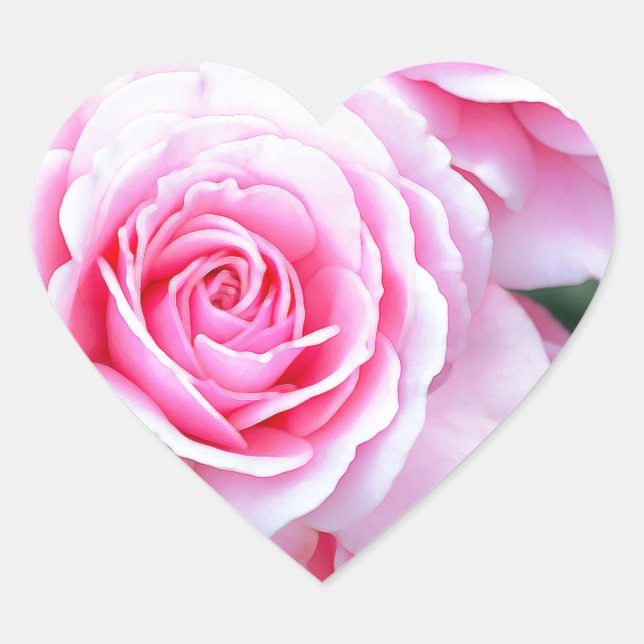 Schöne rosa Rosen Herz-Aufkleber (Vorderseite)